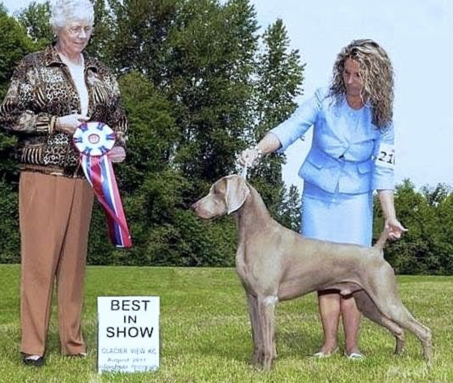 Am GCh/BIS NBISS Can GCh/Int’l Ch Rosewin Anson’s Cervelo