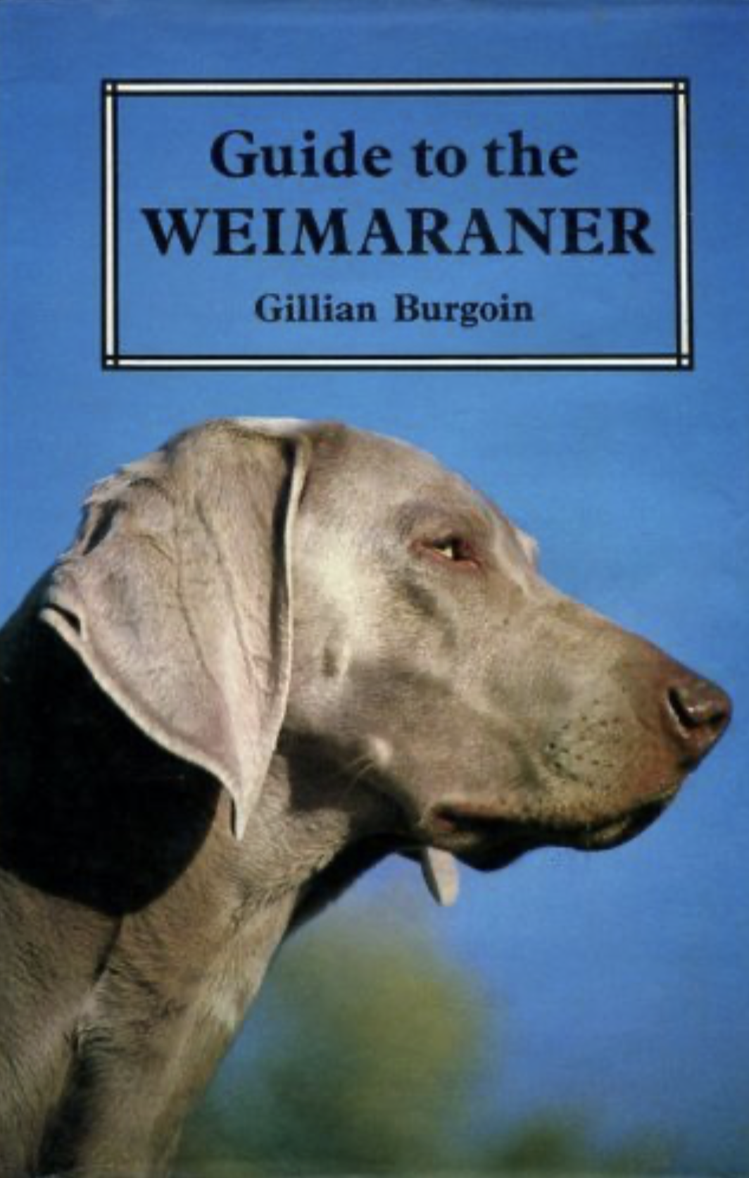 Guide to the Weimaraner book cover