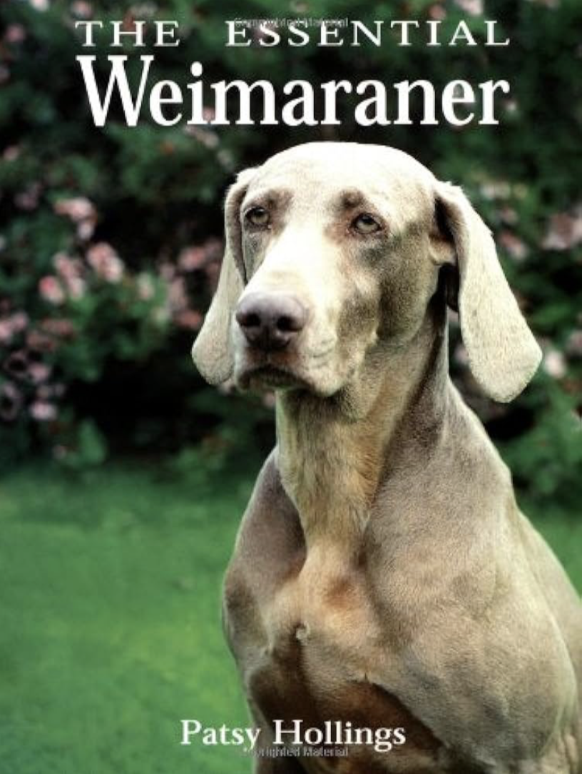 The Essential Weimaraner book cover
